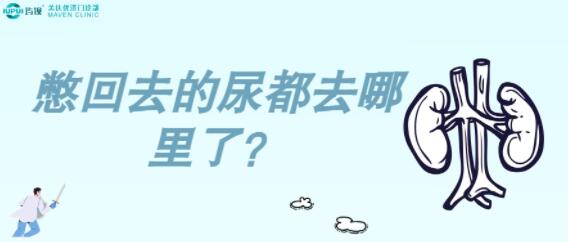 健康生活 | 憋回去的尿上哪儿了？
